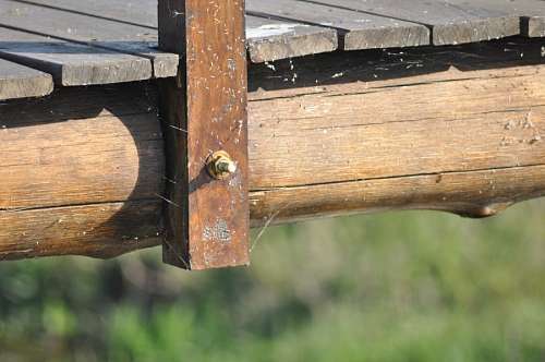 Muelle Lago