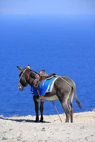 grecia Grecia