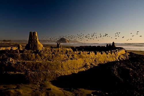 aves Atardecer en Morro Strand State Beach, California, USA