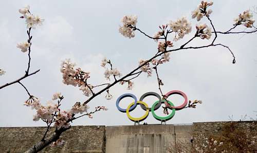 deportes de rio Anillos Olimpicos