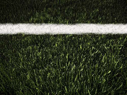 cancha Textura Pasto Verde linea de Cal