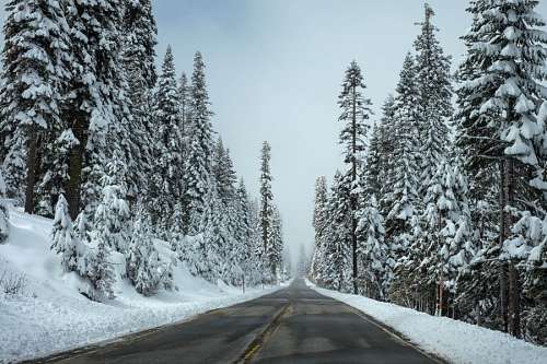Carretera nevada