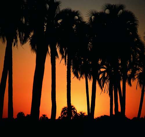 parque nacional Palmar Entre Rios, Argentina