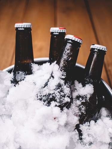 Cerveza