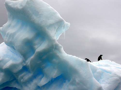 iceberg