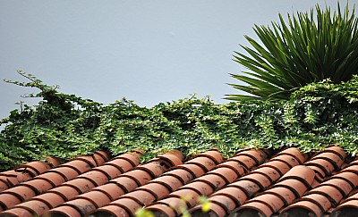 techo, tejas, colonial, teja,P052014, Freejpg