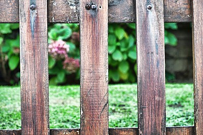Cerca, Madera, Marron, Fondo, Background, Jardin,P052014, Freejpg