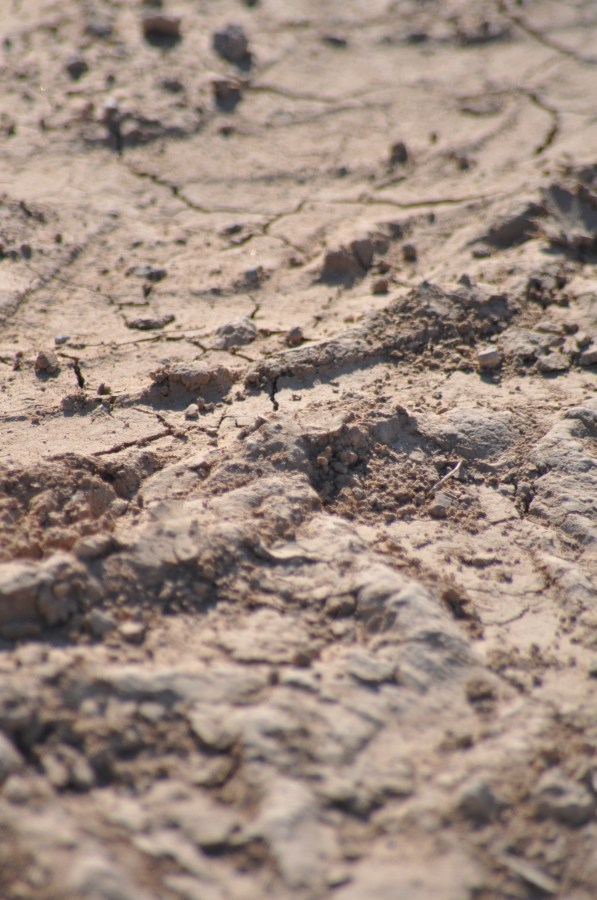 Textura,Texturas,tierra,Seca,quebradizo,cuarteada,Arido,Terreno,Marron,Agrietado,Paisaje Arido,Fondos,Sequia
