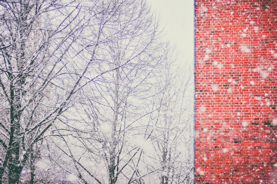 paredes, ladrillos, invierno, rojo, ladrillo, arquitectura, muro, arbol, nieve, nevado, nadie, 