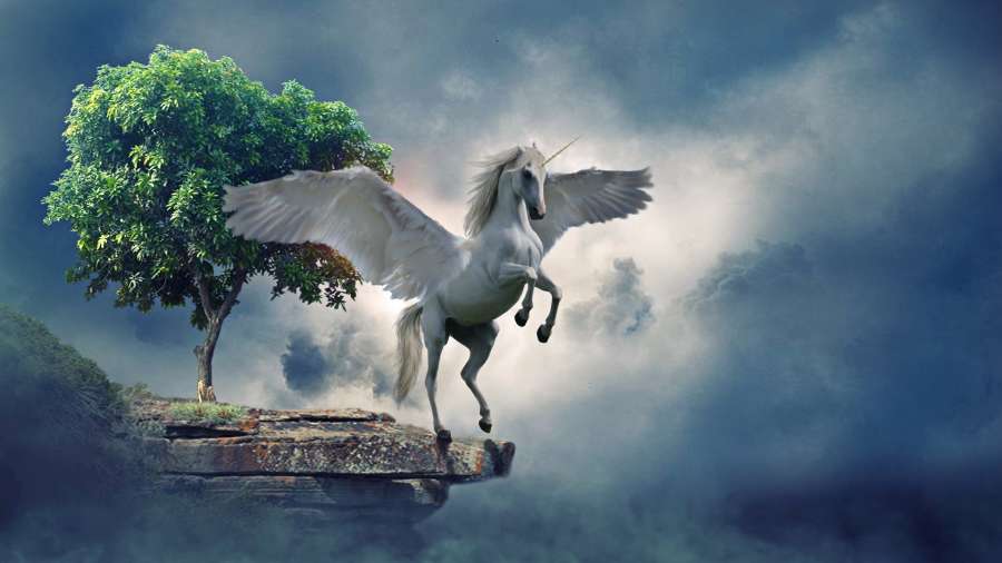 unicornio, hermoso, mitologia, tierno, unicornio para imprimir, fondo de pantalla de unicornio, unicornio animado, animales imagenes de unicornios infantiles, fondo de unicornio, imagenes de unicornios bonitos, dibujo de unicornio, unicornios a color, unicornios para colorear, imagenes de unicornios reales, unicornios kawaii,colorido,fondos de pantalla kawaii