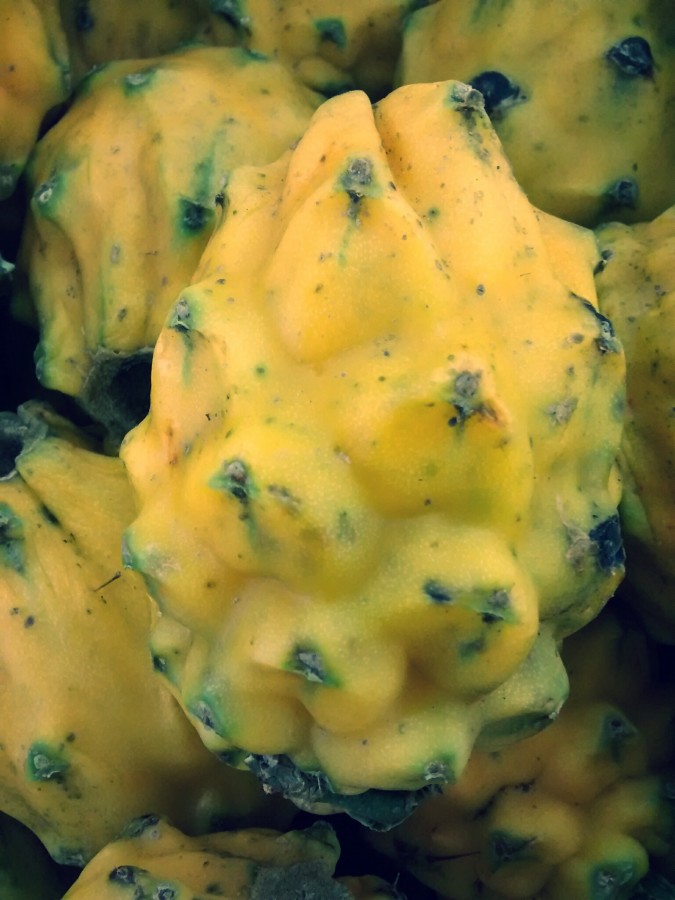 Pitahaya, frutas, tropical, ecuador, america, latino, latina, 