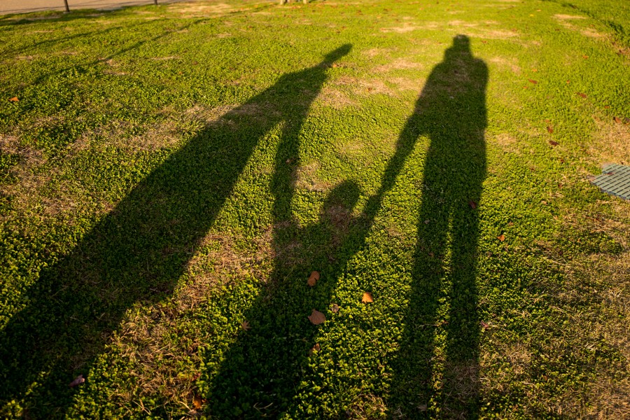 familia, sombra, tres, gente, parque, aire libre, exterior, sombras, niño, padre, madre, paseo, 