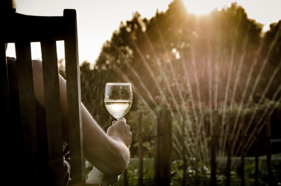 hombre, copa, vino, atardecer, exterior, jardin, riego, regar, relax, copa, agua, silla, una persona, gente, sentado, naturaleza, tranquilidad, bebida, casa, 