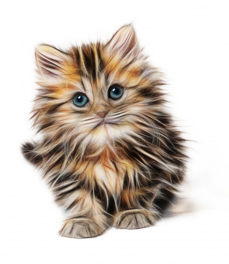 Dibujo, 3d, arte, dibujo de gato, fondos de pantalla hd, fondos de pantalla 4k, resolucion 4k, salvapantalla, gatito, bebé de gato, animales jóvenes, agresivo, caza, gato, pieles, encantadora, animales, carnívoros, lindo, esponjoso, cabello, bebé, mamífero, pata, mascotas, juguetón, retrato, pura sangre, pequeños, curioso, querido , fotos gratis,  imágenes gratis, Gato doméstico, Cabeza de animales Retrato, Gato melado, Monada, Gatito, Animales, Fotografía, Mirando a la cámara, Animal doméstico, Animal joven, Color, Día, Horizontal, Interior, Mascota, Nadie, Ojo de Animales, Parte del cuerpo animales Temas de animales, Un animales adorable, tierno, mascota, peludo, melena, colores, pelos, rayas, felino, minino, micifuz, michino, madrileño, felido, gatuno