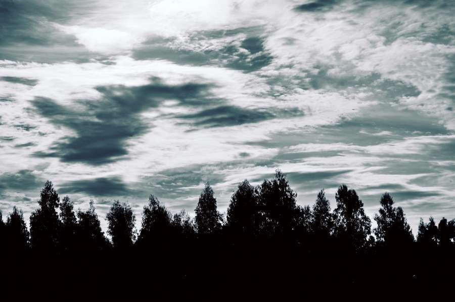 naturaleza, arbol, tormenta, cielo, paisaje, silueta, fondo de pantalla 4k

