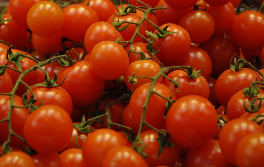 Tomates, Tomate, frutas, Rojo, Racimo
