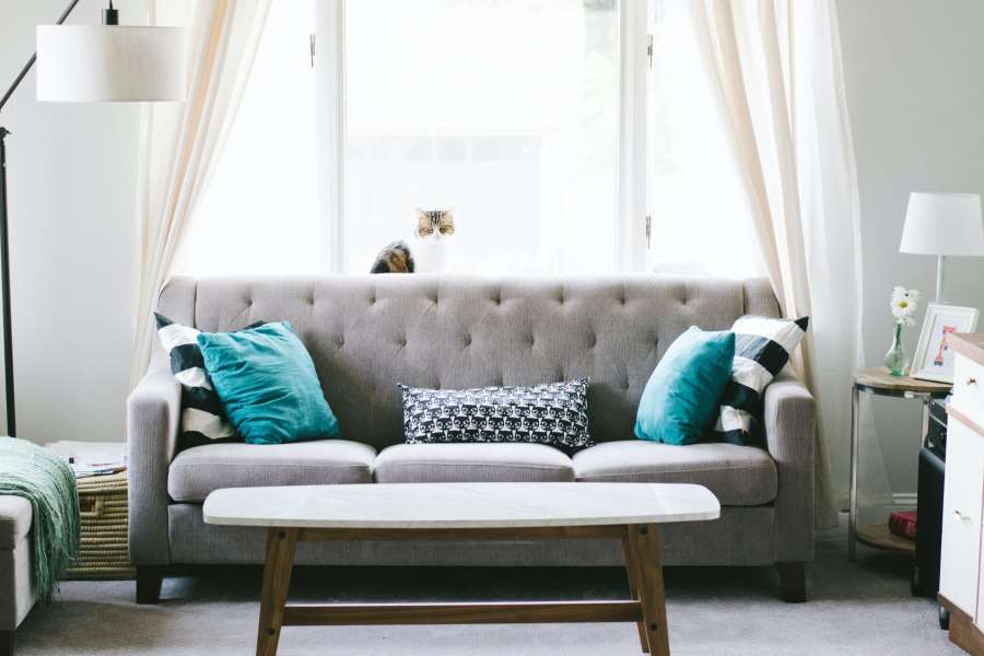 living, interior, casa, moderno, gris, nadie, sillon, sofa, mesa ratona, hogar, ambiente, diseño, arquitectura, decoracion, 