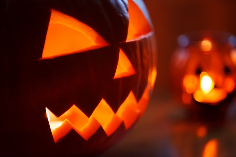 Halloween, calabaza, horror, luz, nadie, miedo, iluminado, sonrisa, 