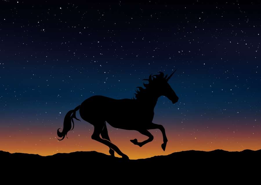 unicornio, hermoso, mitologia, tierno, unicornio para imprimir, fondo de pantalla de unicornio, unicornio animado, animales imagenes de unicornios infantiles, fondo de unicornio, imagenes de unicornios bonitos, dibujo de unicornio, unicornios a color, unicornios para colorear, imagenes de unicornios reales, unicornios kawaii,colorido,fondos de pantalla kawaii