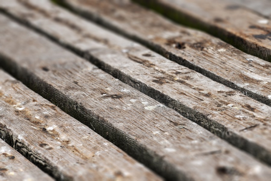 Textura, Texturas, Madera
