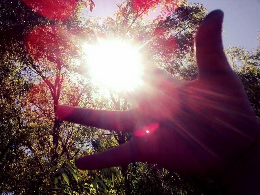 manos, concepto, luz, atardecer, sol, naturaleza, una persona, dia, alegria, 