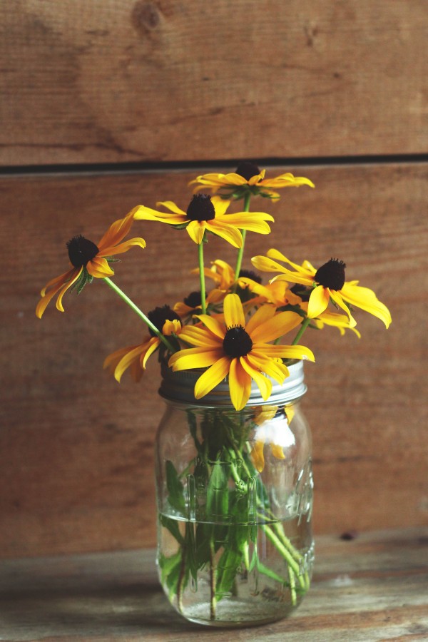 florero, flor, flores, margarita, amarilla, amarillo, vidrio, decoracion, primavera, 