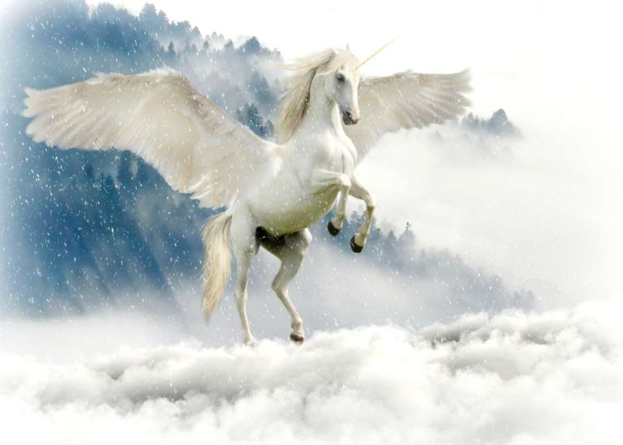 unicornio, hermoso, mitologia, tierno, unicornio para imprimir, fondo de pantalla de unicornio, unicornio animado, animales imagenes de unicornios infantiles, fondo de unicornio, imagenes de unicornios bonitos, dibujo de unicornio, unicornios a color, unicornios para colorear, imagenes de unicornios reales, unicornios kawaii,colorido,fondos de pantalla kawaii
