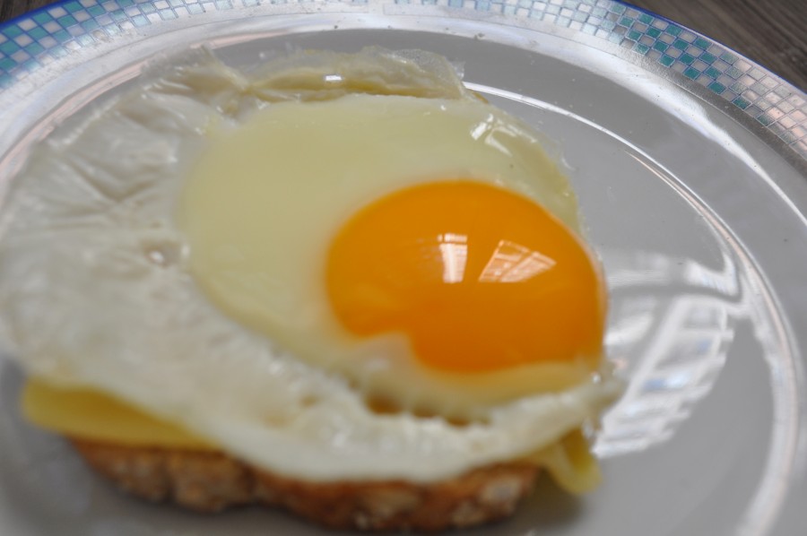 comidas, huevo, tostada, desayuno, nadie, plato, 