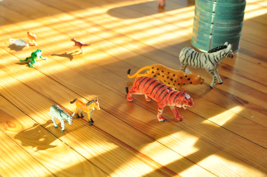 juguete, juguetes, juego, niñez, jugar, piso, madera, interior, hogar, nadie, juego, animales animales, 