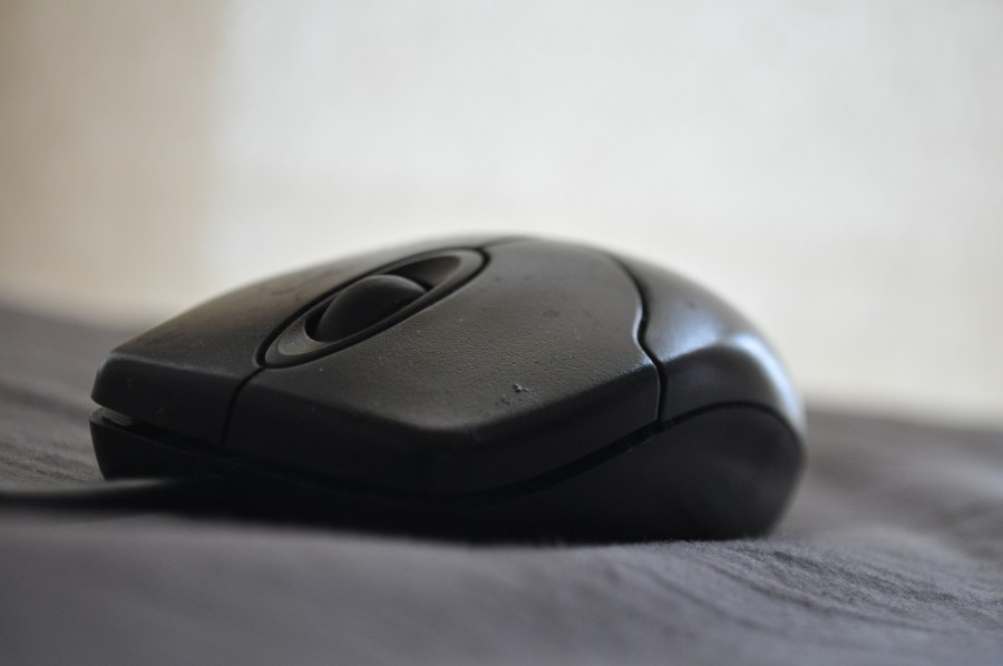 Raton, Mouse, negro, 
