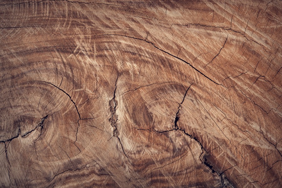 marrón, primer plano, fondos de pantalla hd, superficie, textura, madera, primer plano, natural, naturaleza, tronco, árbol, fondos de pantalla gratis Hd
