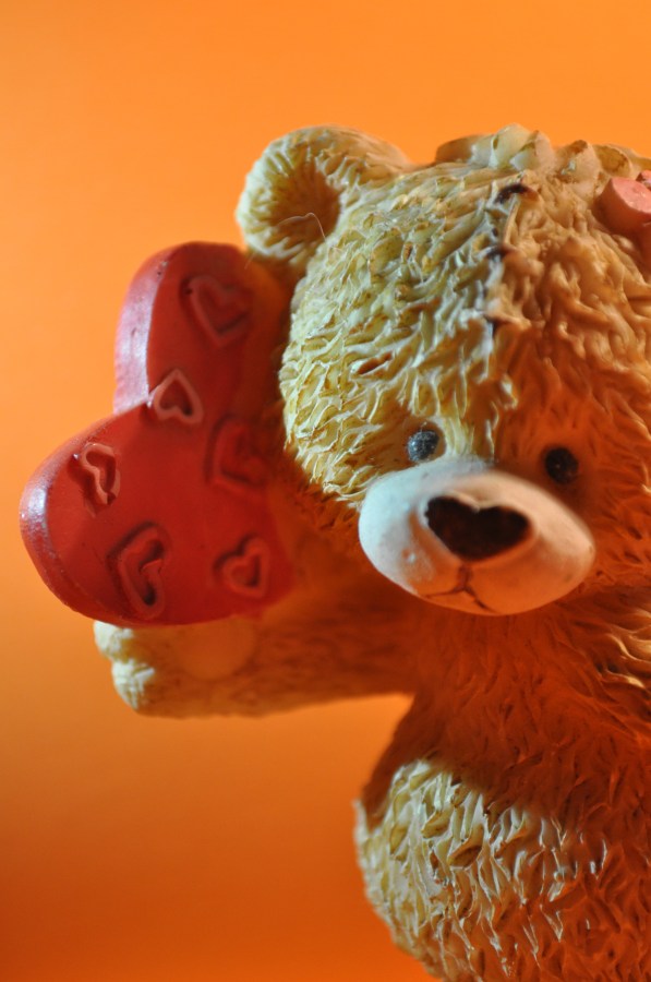 oso, amor, objeto, concepto, corazon, tierno, ternuda, lindo, regalo, 