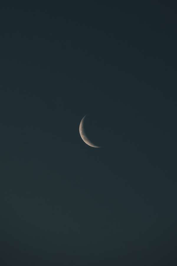 cielo, luna, naturaleza, espacio, noche, creciente, lunar, astronomía, menguante, universo, ciencia, negro, satélite, astrología, luz de la luna, completo, encerado, oscuro, mitad, cosmos, fondo, gibosa, trimestre, fases, calendario, planeta, ciclo, ligero, fase, blanco, órbita, eclipse, nuevo, mes, esfera, luna, superficie, ilustración, sombra, azul, árbol, cósmico, brillante, solar, vector, ronda, estrella, silueta, paisaje, primero