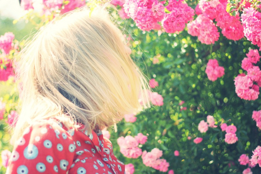 una persona, gente, mujer, rubia, rubio, atardecer, joven, adolescente, paisaje, ocaso, puesta de sol, dorado, belleza, naturaleza, relajacion, serenidad, cabello, tranquilidad, viajar, viaje, vacaciones, flores, rosa, florido, primavera, 