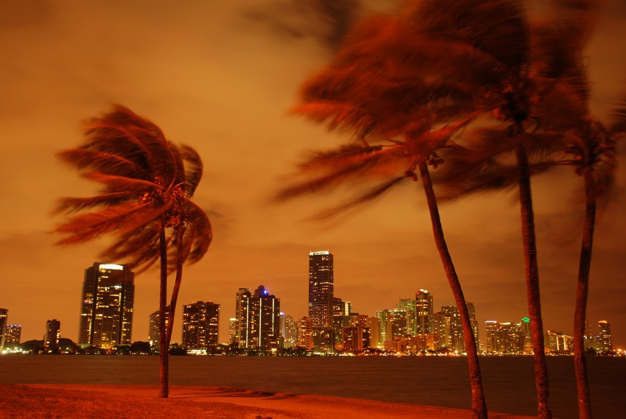miami, estados unidos, usa, atardecer, viento, palmera, palmeras, ciudad, america, luz, luces, noche, huracan, mal tiempo, 