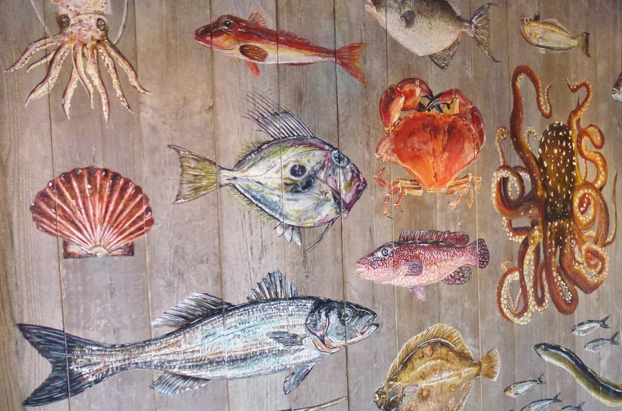 marino, pintura, pez, peces, mural, paredes, arte, 