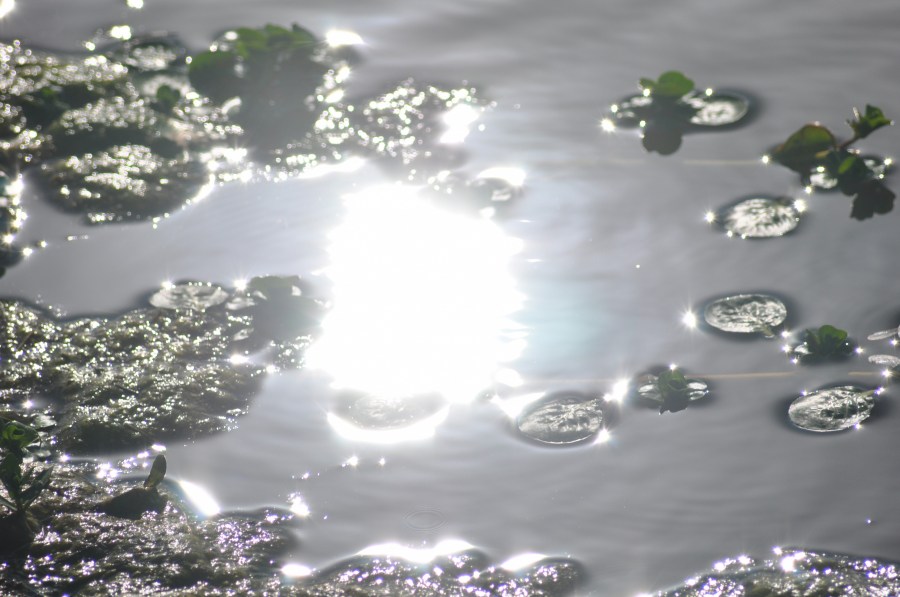 Textura,Texturas,Agua,Reflejo,Lago
