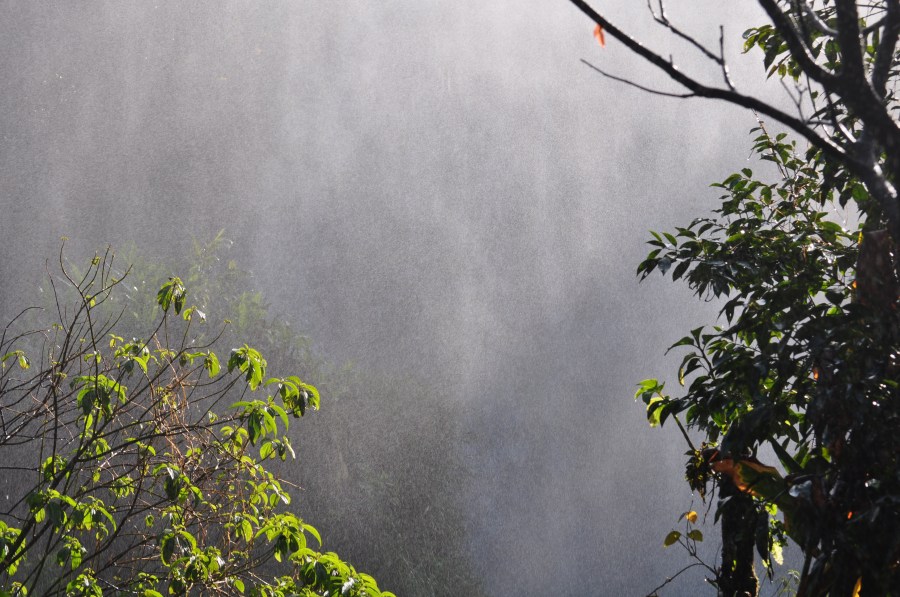Argentina, Misiones, Iguazu, Parque Nacional, Cataratas del Iguazu, Brasil, Agua, Selva, Lugar turistico, Turismo, Humedad, Verde, Naturaleza, Llovizna, Humedo, Vegetacion, 