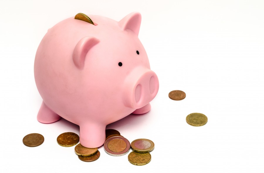 alcancia, chancho, cerdo, moneda, ahorro, dinero, fondo blanco, nadie, finanzas, concepto, 