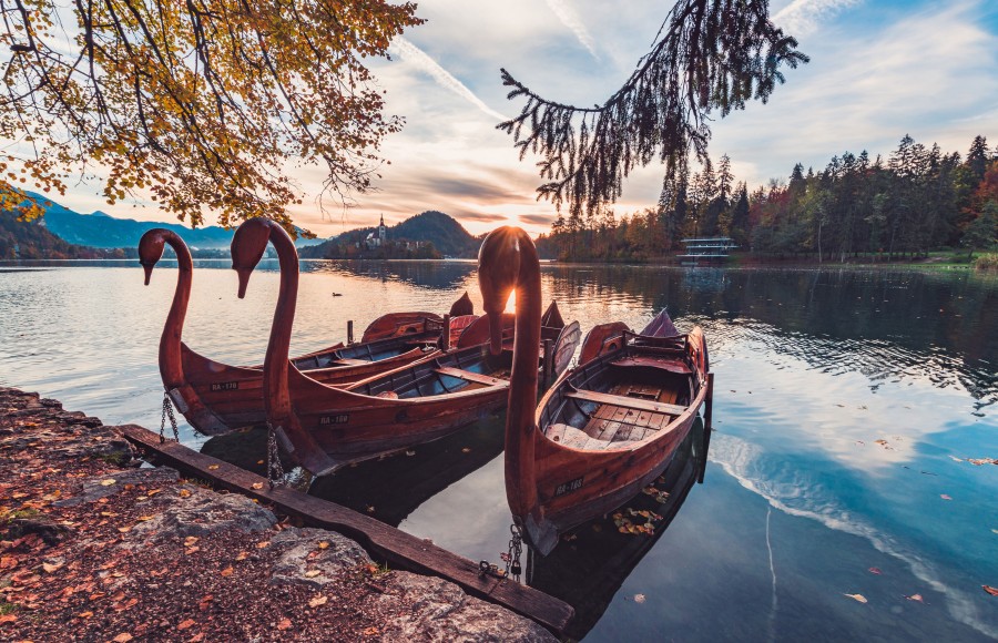 paisaje, lago, bote, cisnes, forma, atardecer, romantico, romantisismo, 