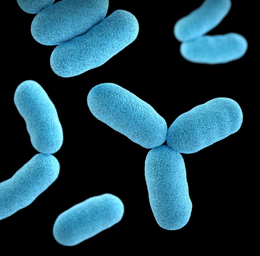 enfermedad, ciencia, medicina, salud, enfermo, muerte, virus, médico, sangre, experimento, científico, biología, microscopio, epidemia, vih