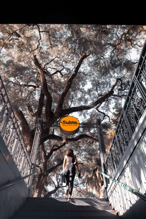 mujer, joven, Señal de metro, estación de metro, Buenos Aires Argentina, estilo urbano, tren subterráneo, Calle urbana, persona, ciudad, Argentina, moderno, público, para caminar, movimiento, viajar, metro, subterráneo, pasajero, urbano, subterraneo, transporte estación, transporte, movimiento, negocio, buenos aires, tren, gente, escalera
