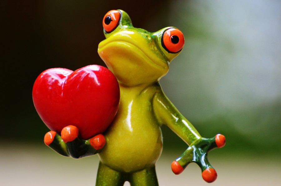 sapo, corazon, verde, desenfoque, primer plano, adorno, souvenirs, decorado, adorno, atavío, ornamentación, ornamento, ornato, adorno, embellecimiento, hermoseamiento, engalanamiento, interiorismo, rana, sosteniendo corazón, amor, dia de los enamorados, san valentin, fondo de pantalla Hd, wallpaper de amor, imagenes romanticas, romantico, enamorar, regalar, te amo, imagenes de amor gratis, fotos de amor, fotos romanticas en hd, fondos de pantalla románticos en hd, imag3nes de amor, imajenes de amor, imajen de amor, imagenes de amor tiernas para celular