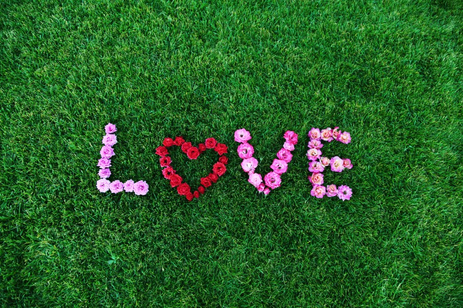 amor,love,fondo,Fondo blanco,background,exterior,colorido,colores,felicidad,corazon rojo,rosa,gay