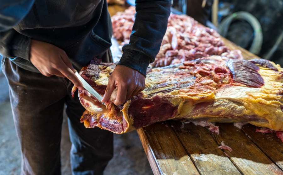Argentina, Asado, Carne, Comida, Tipico, Patagonia, Vaca, Res, Animal, Faena, Cuchillo, Gente, Trabajo, Profesion, Carniceria, Campo, Escena rural, Produccion, Ganado, Porcion, 