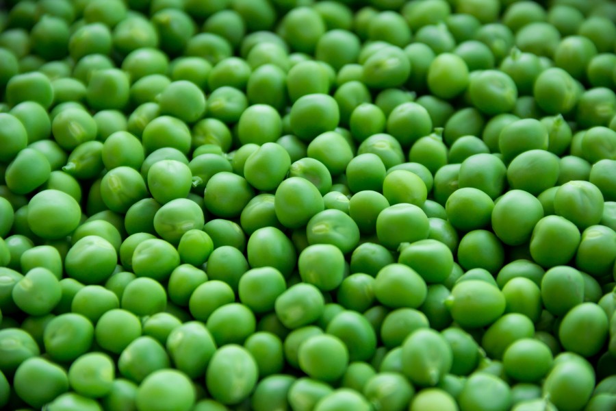 arveja, grano, guisante, verde, fresco, fondo, background, primer plano, 