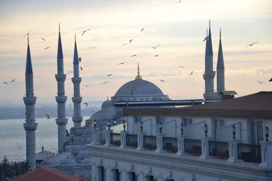 Estambul, Turquia, distrito, famoso, Sultanahmet, torre, viaje, vista, turco, Topkapi, noche, horizonte, minarete, tradicional, Asia, otomana, turista, arquitectura, panorama, puesta del sol, turismo, paisaje urbano, mezquita, urbano, centro, ciudad, azul, europa, paisaje