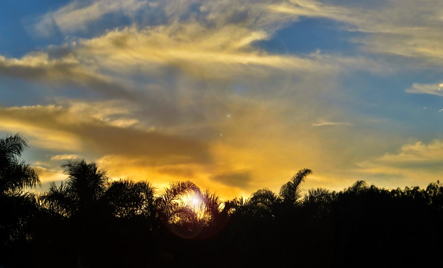 atardecer, selva, naturaleza,cielo,ocaso, puesta de sol, nadie, naturaleza, 