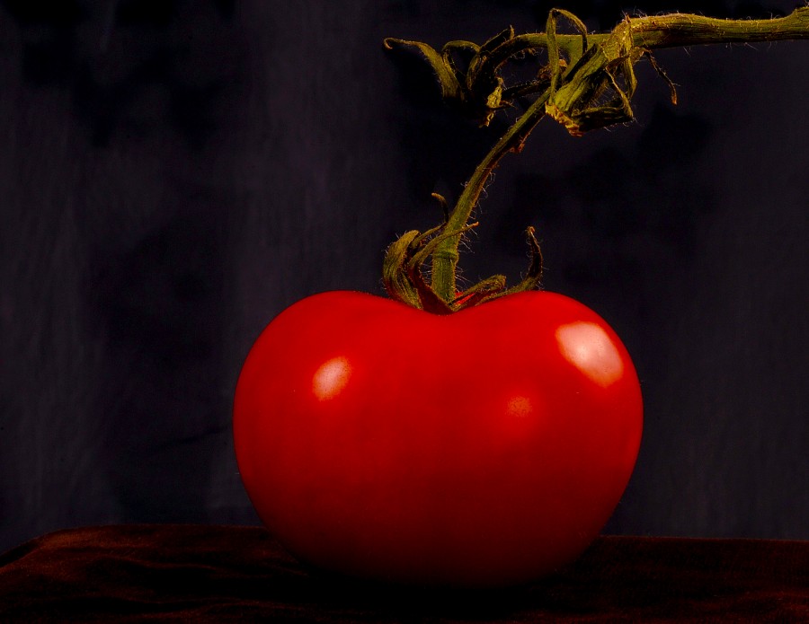 tomate, frutas, verdura, rojo, uno, primer plano, fondo negro, 