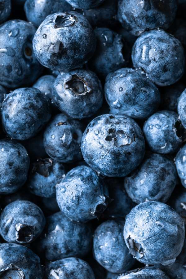 Berry, fresco, fondo, arándano, azul, fruta, comida, dulce, saludable, maduro, orgánico, postre, delicioso, jugoso, arándano, crudo, dieta, grupo, verano, vegetariano, nutrición, natural, primer plano, comiendo, montón, cosecha, frescura, patrón, sabroso, muchos, bocadillo, color, naturaleza, ingrediente, Arándanos, tienda de comestibles, cocina, macro, mercado, nadie, elegido, agrícola, agricultura, hortícola, agricultor, redondo, textura
